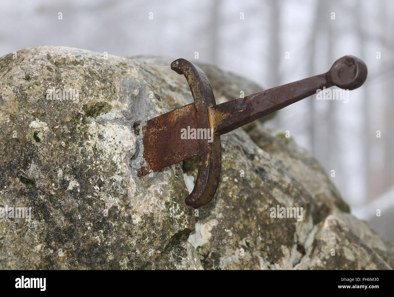 L'épée légendaire Excalibur dans la pierre au milieu de la forêt en hiver Banque D'Images