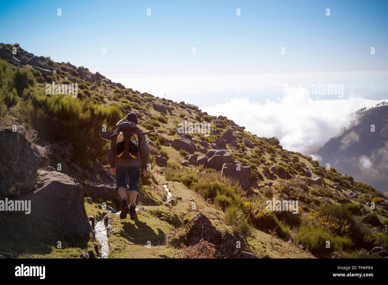 Portugal, Madère, l'homme sur le long des Levadas randonnée Banque D'Images