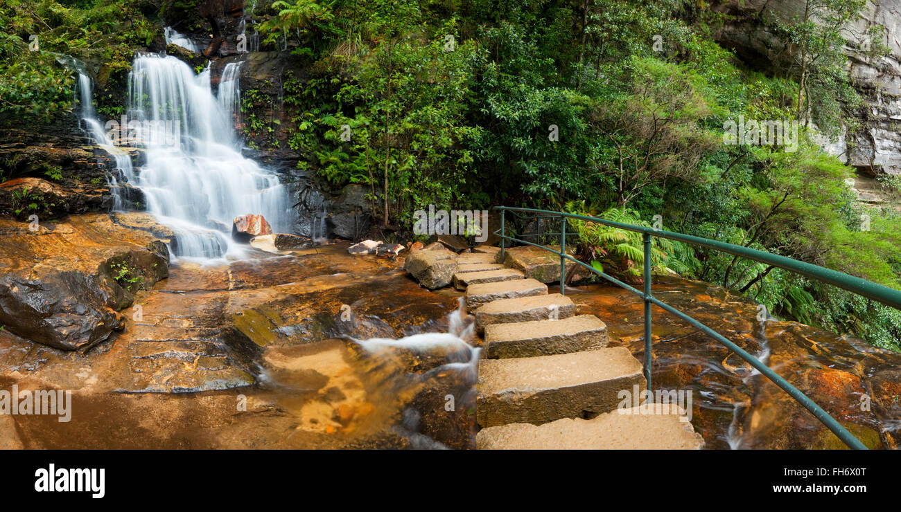 Un paisible chemin passé chutes d'eau dans le Parc National de Blue Mountains, New South Wales, Australie. Banque D'Images