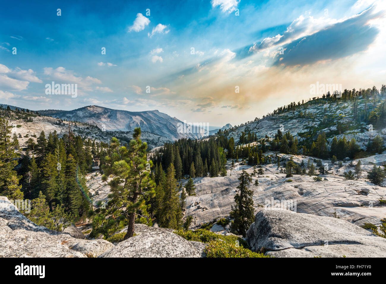 Voir dans la haute Sierra, Olmsted Point, Yosemite National Park, California, USA Banque D'Images