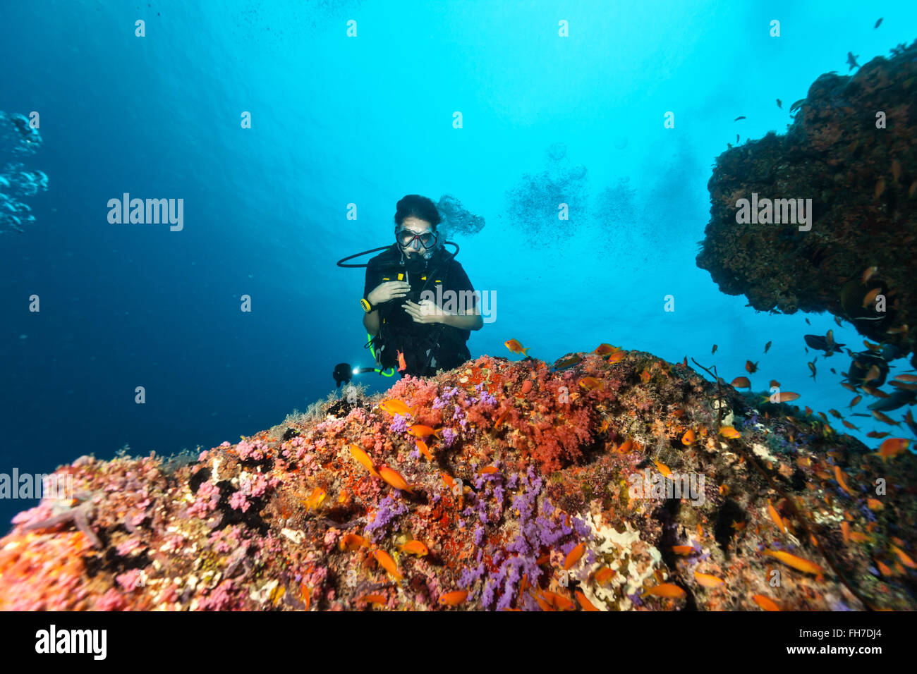 Sous-marin plongeur femelle Banque D'Images