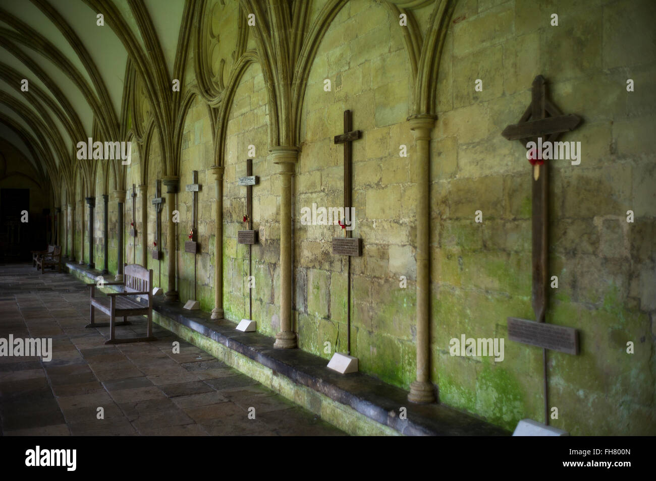 La cathédrale de Salisbury, Wiltshire, Angleterre, Royaume-Uni. Feb 2016 LA PREMIÈRE GUERRE MONDIALE dans les cloîtres crooses utilisés comme les pierres tombales avant de pierres tombales ont été utilisées. La cathédrale de Salisbury, connu officiellement sous le nom de l'église cathédrale de la Bienheureuse Vierge Marie, est une cathédrale anglicane à Salisbury, en Angleterre, et un des principaux exemples de début de l'architecture anglaise.[1] Le corps principal de la cathédrale a été effectuée en seulement 38 ans, de 1220 à 1258. La cathédrale est le plus haut clocher d'église au Royaume-Uni (123m/404 ft). Les visiteurs peuvent prendre la 'Tour d'' où l'intérieur de la spire creuse, avec ses bois ancien scaffo Banque D'Images