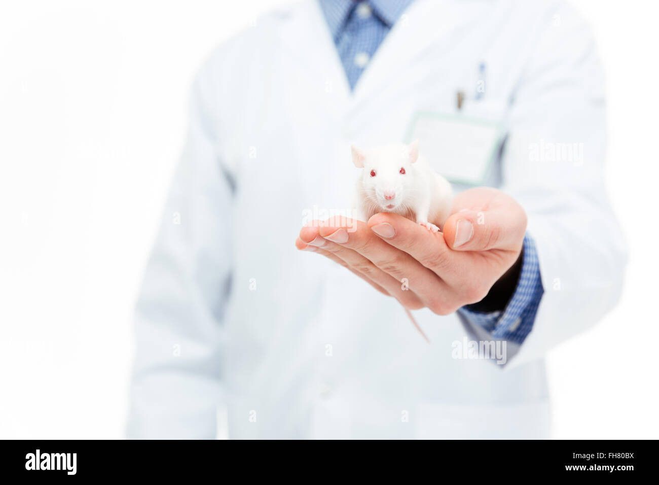 Chemist holding rat isolé sur fond blanc Banque D'Images