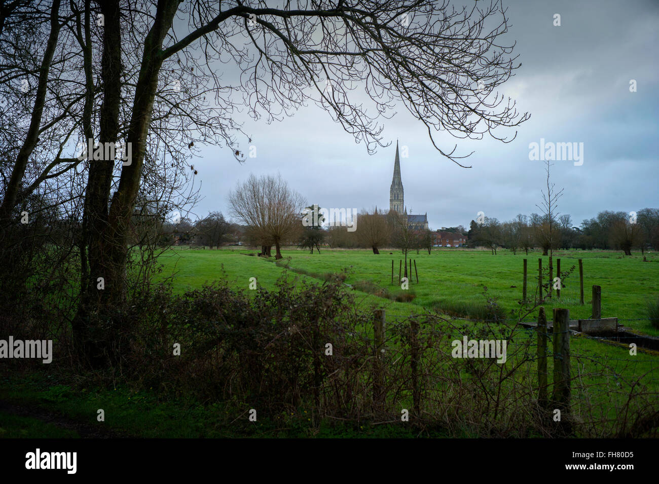 La cathédrale de Salisbury, Wiltshire, Angleterre, Royaume-Uni. Feb 2016 La cathédrale de Salisbury, connu officiellement sous le nom de l'église cathédrale de la Bienheureuse Vierge Marie, est une cathédrale anglicane à Salisbury, en Angleterre, et un des principaux exemples de début de l'architecture anglaise.[1] Le corps principal de la cathédrale a été effectuée en seulement 38 ans, de 1220 à 1258. La cathédrale est le plus haut clocher d'église au Royaume-Uni (123m/404 ft). Les visiteurs peuvent prendre la 'Tour d'' où l'intérieur de la spire creuse, avec ses bois ancien échafaudage, peuvent être consultés. La cathédrale a également le plus grand cloître et les grandes Banque D'Images