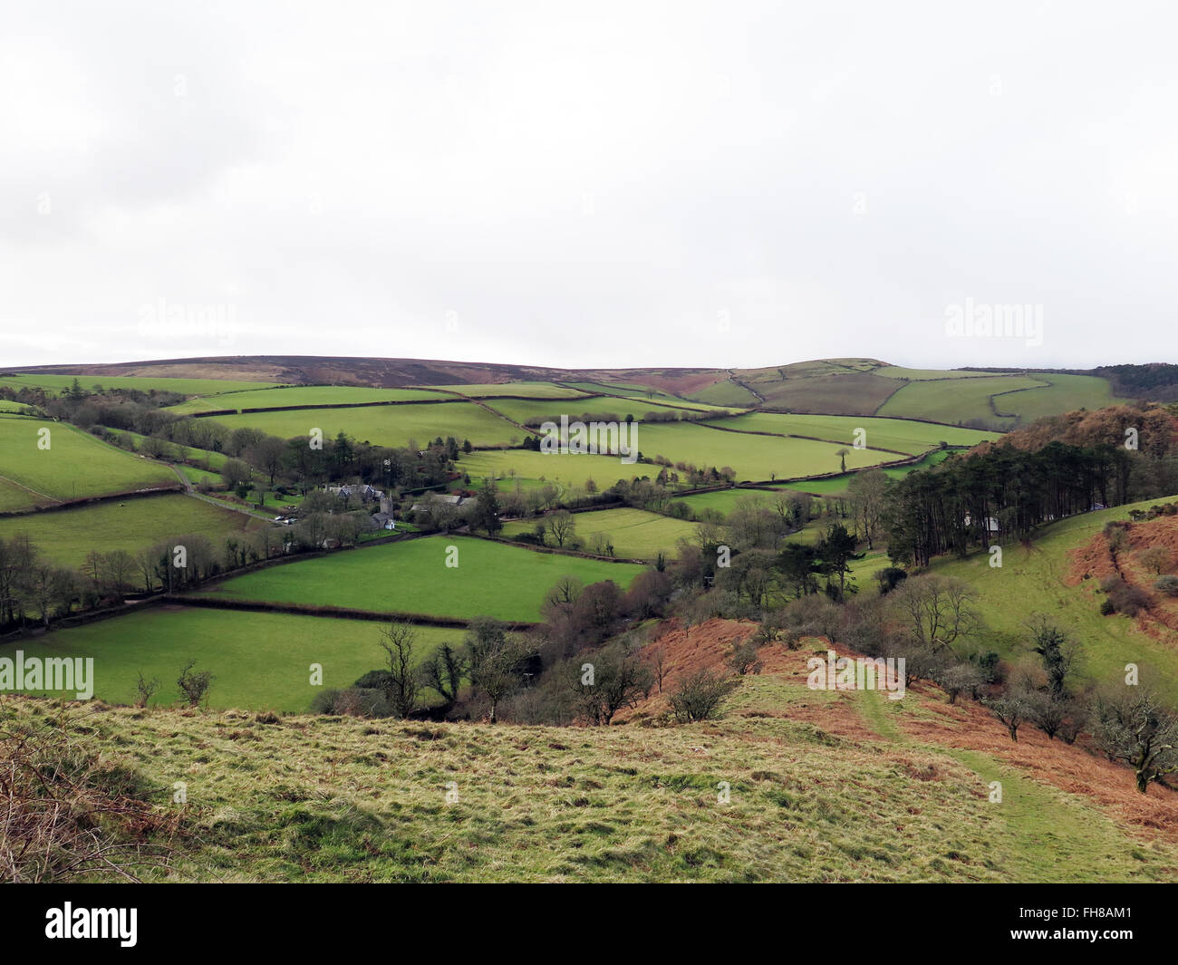 Oare : Exmoor Valley & church Banque D'Images