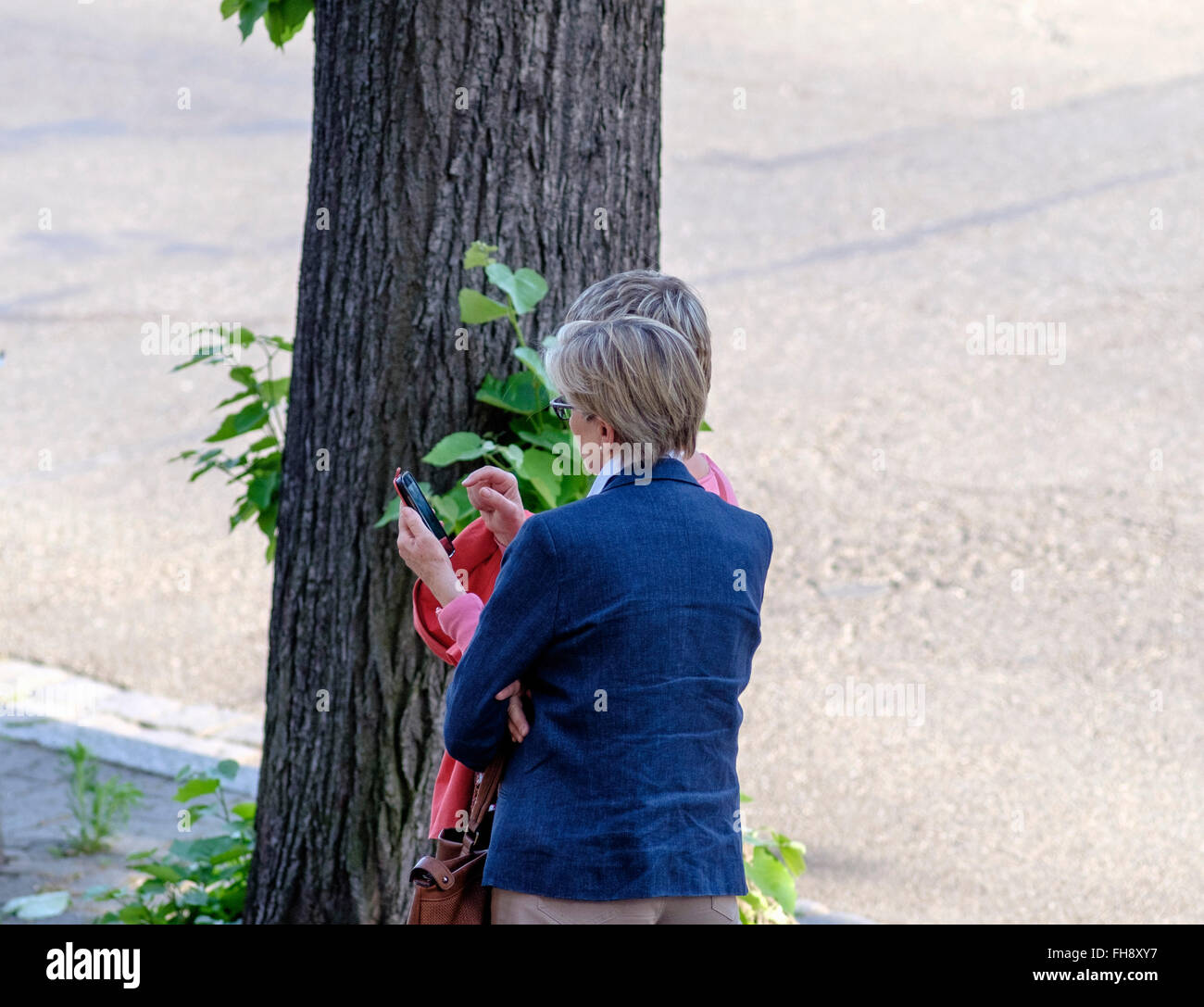 2 femmes discutant avec un téléphone portable, en plein air, en France, en Europe Banque D'Images