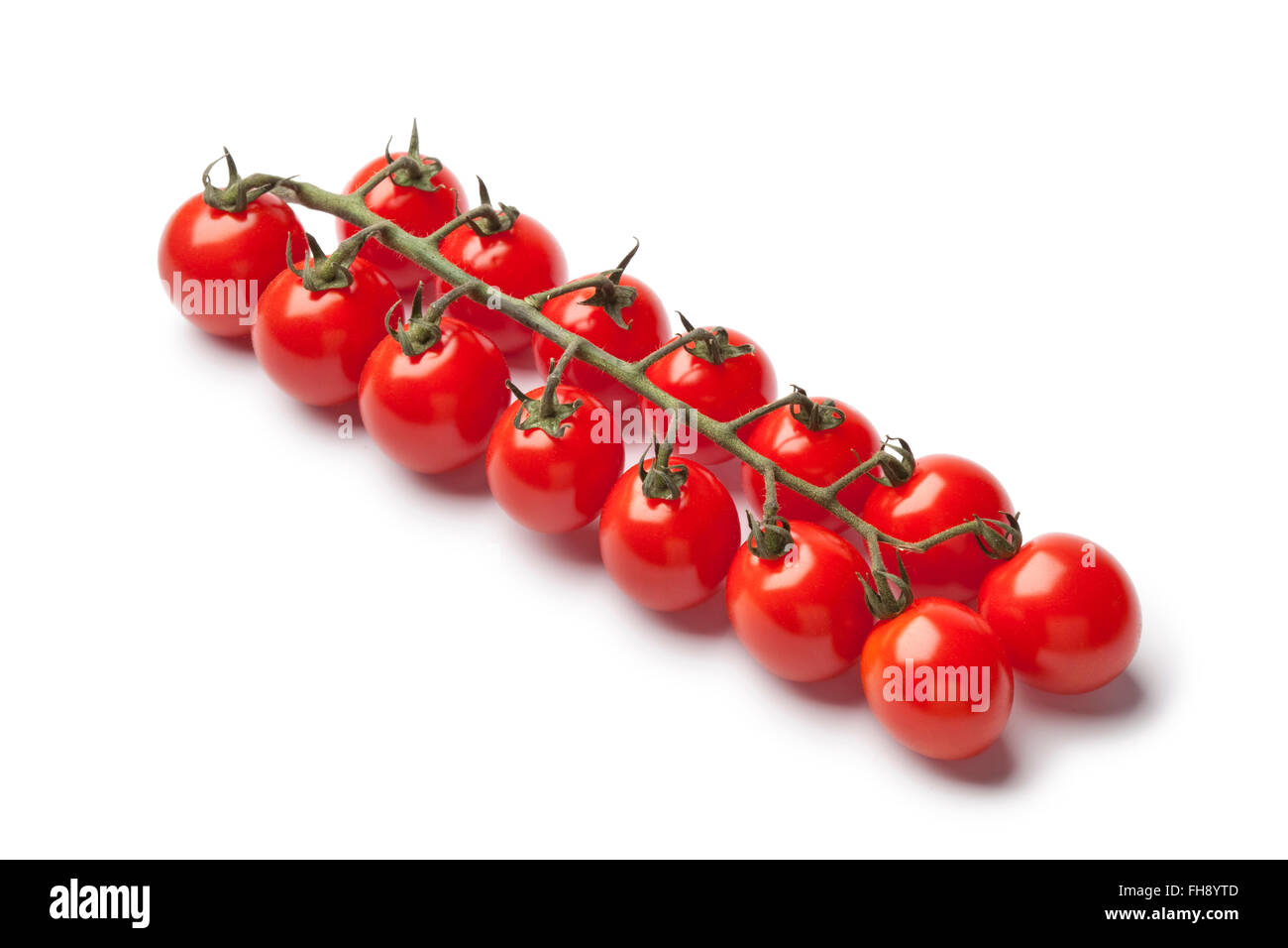 Mini frais tomates cerises sur une vigne sur fond blanc Banque D'Images