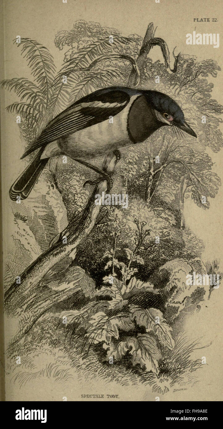 L'étude des mouches de 1708-1777 par Albrecht von Haller, se ...