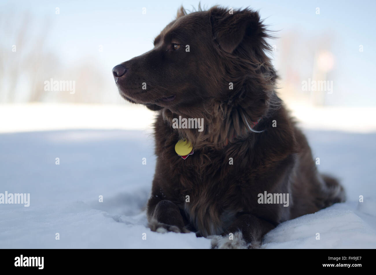 Être fier Banque D'Images