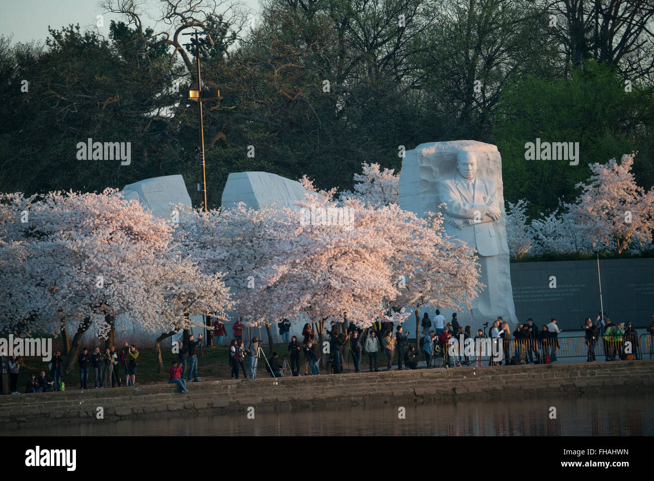 WASHINGTON DC, USA - La foule rassembler avant l'aube le long des quais de la Tidal Basin au cours de la cherry blossom festival à regarder le lever du soleil sur l'eau. Banque D'Images