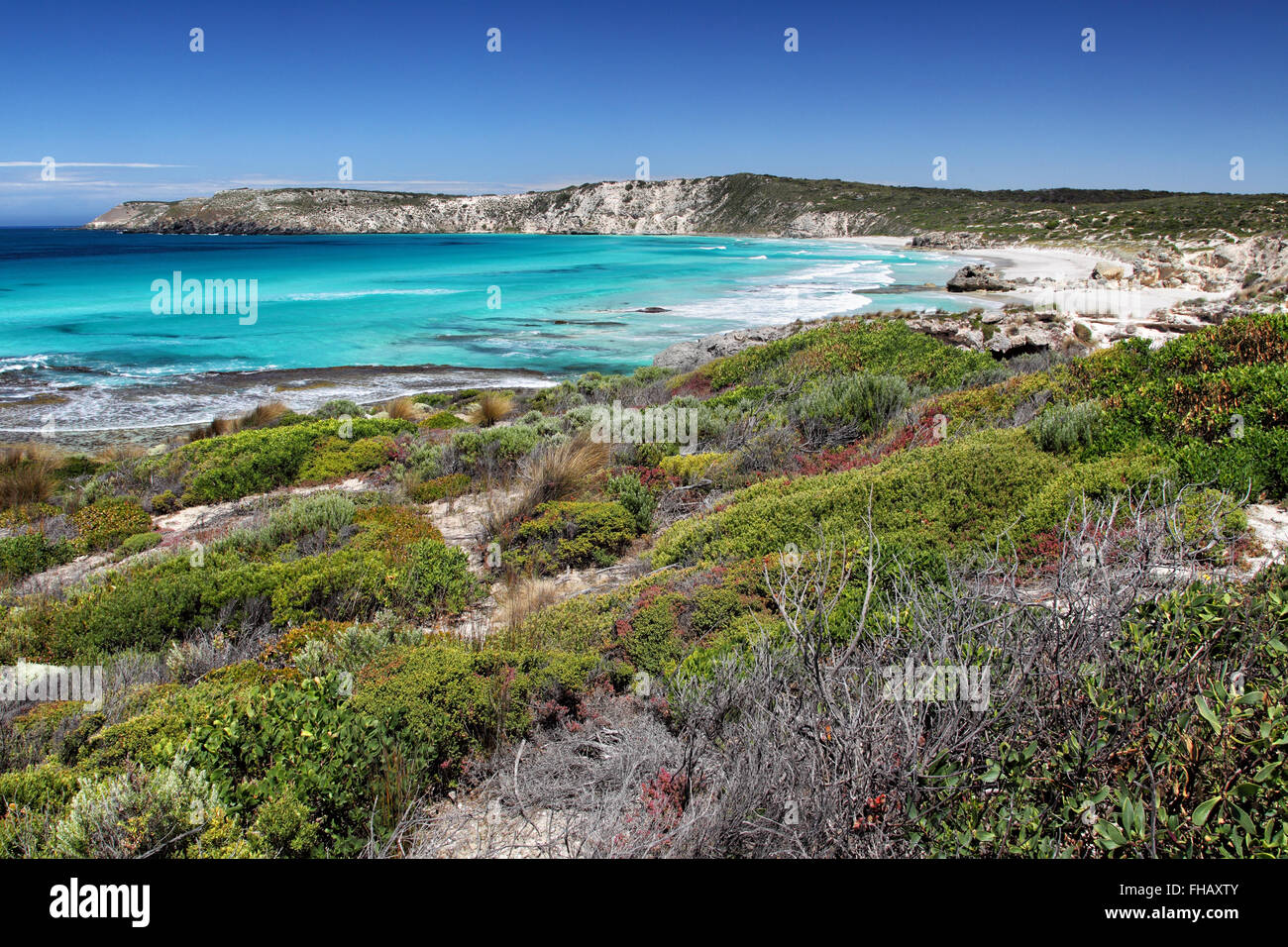 Paysage côtier dans la région de Pennington Bay, sur Kangaroo Island, Australie du Sud, Australie. Banque D'Images