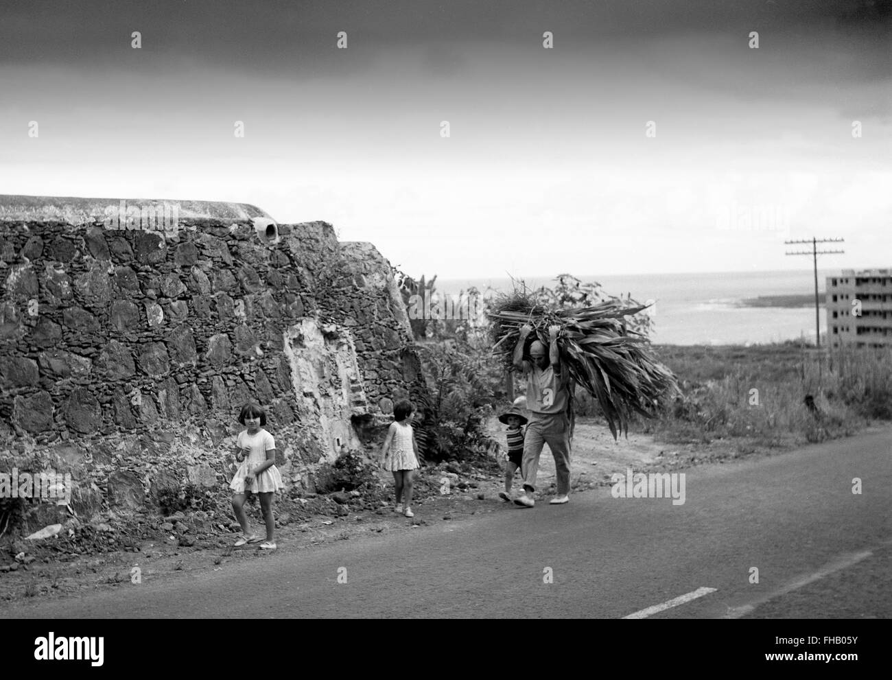 L'agriculture paysanne Gran Canaria Espagne 1950 Banque D'Images
