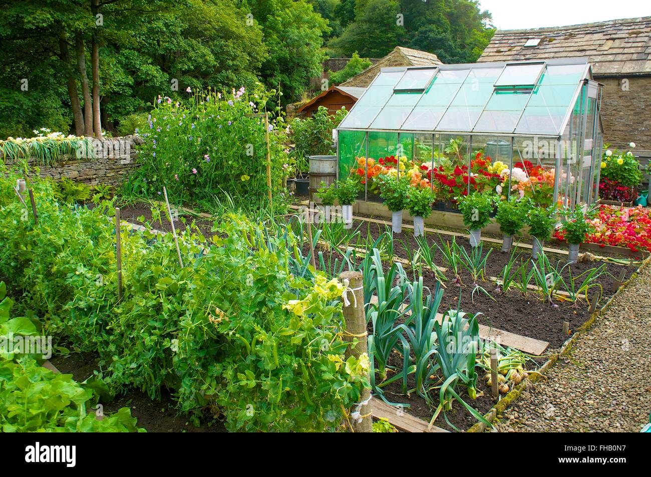 Attribution à la culture de légumes et de fleurs dans la maison verte. Banque D'Images