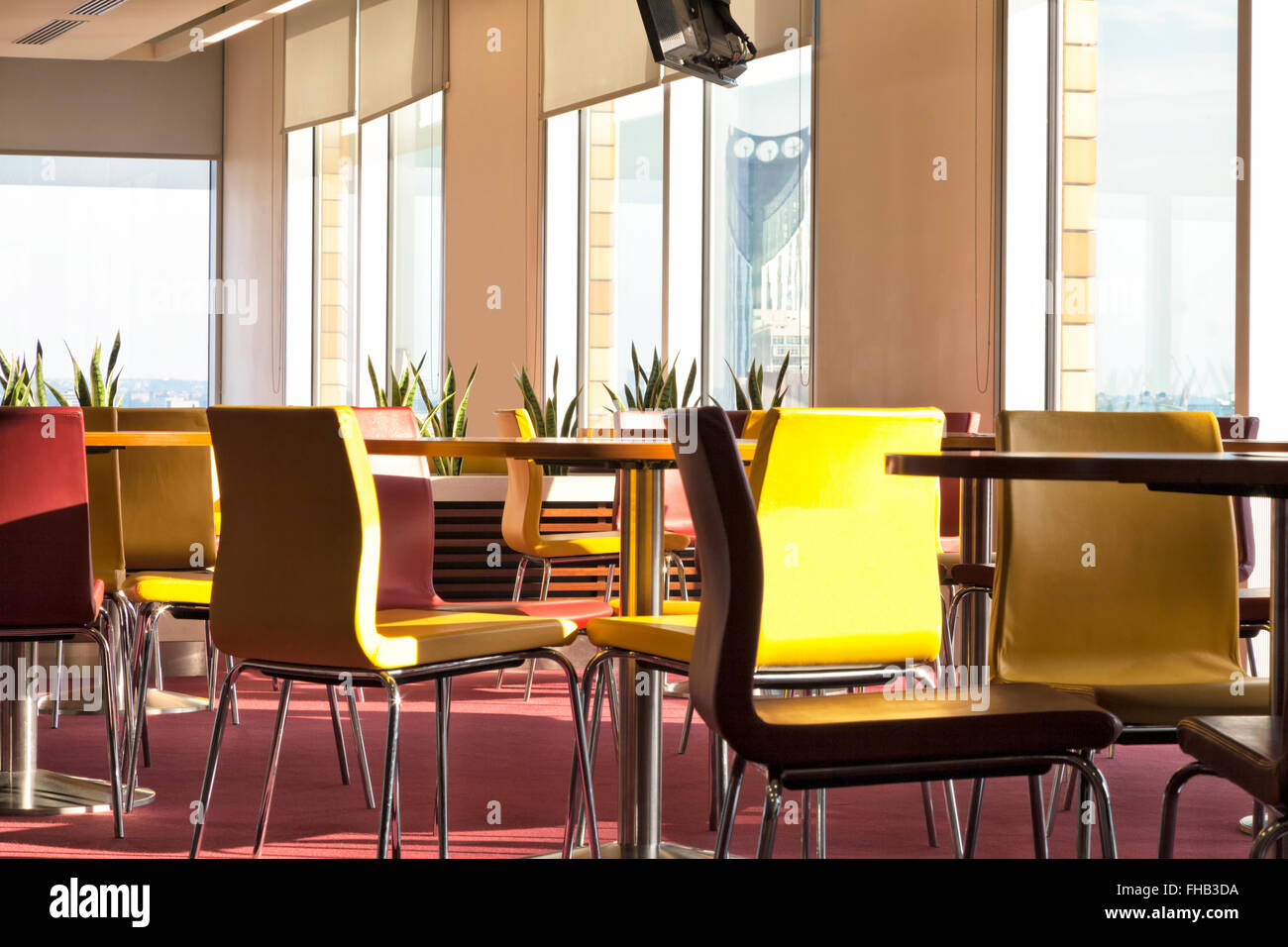 Chaises en cuir coloré et les tables d'un café moderne, avec de grandes fenêtres Banque D'Images