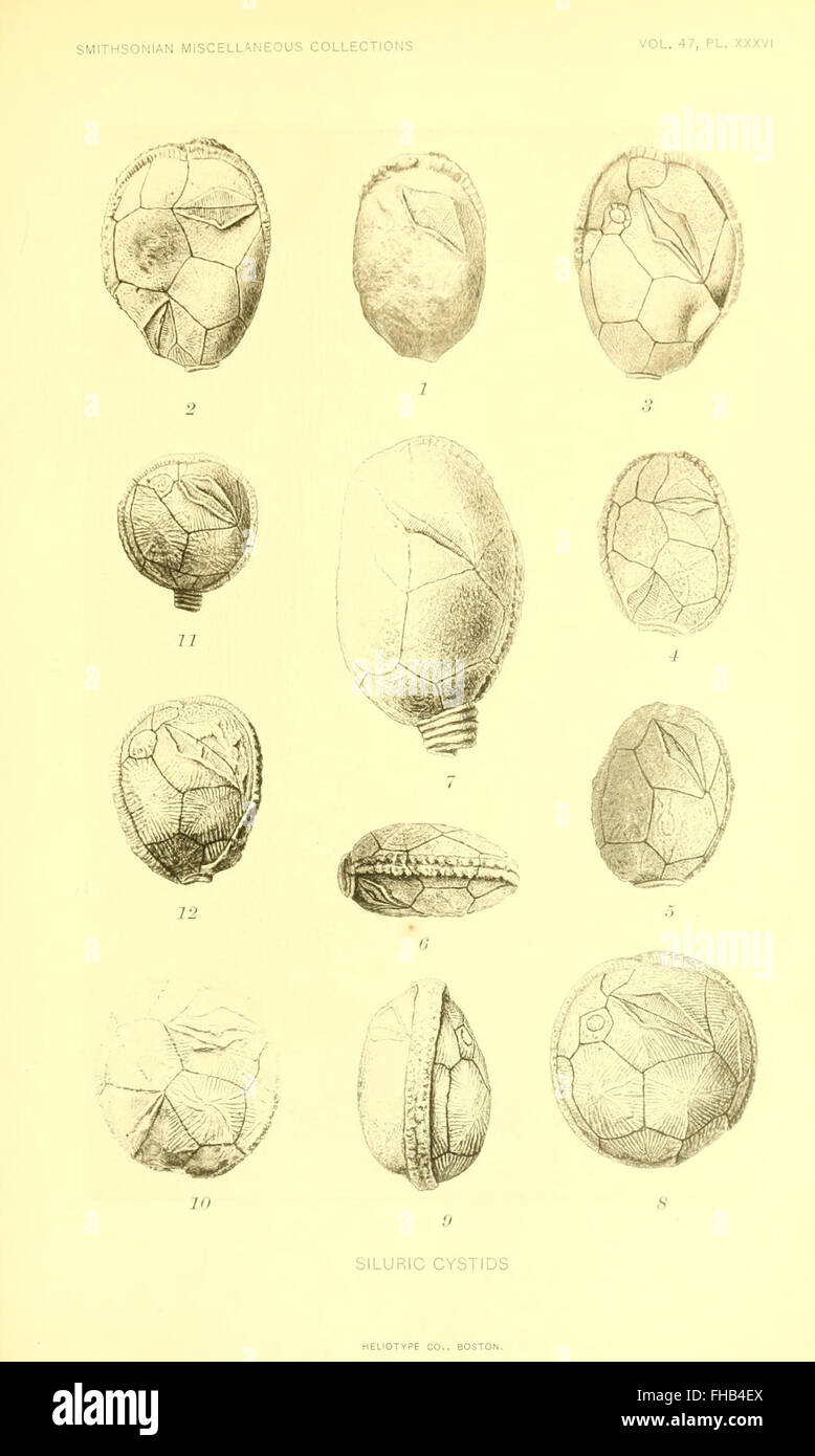 Smithsonian Miscellaneous Collections Banque D'Images