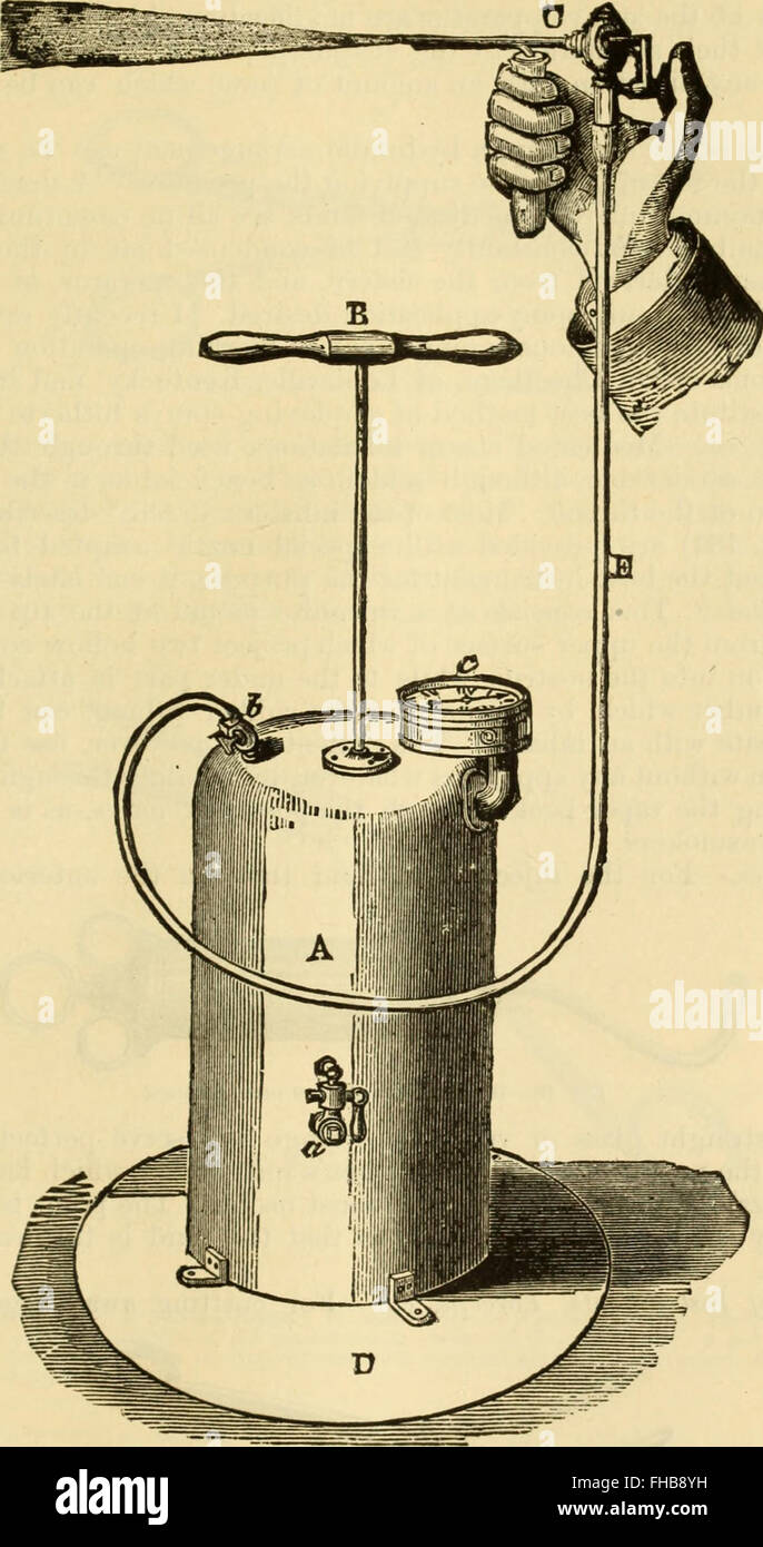 Un manuel médical de 1880, détaillant les maladies affectant la gorge, le nez et les structures connexes, y compris le diagnostic et le traitement. Banque D'Images