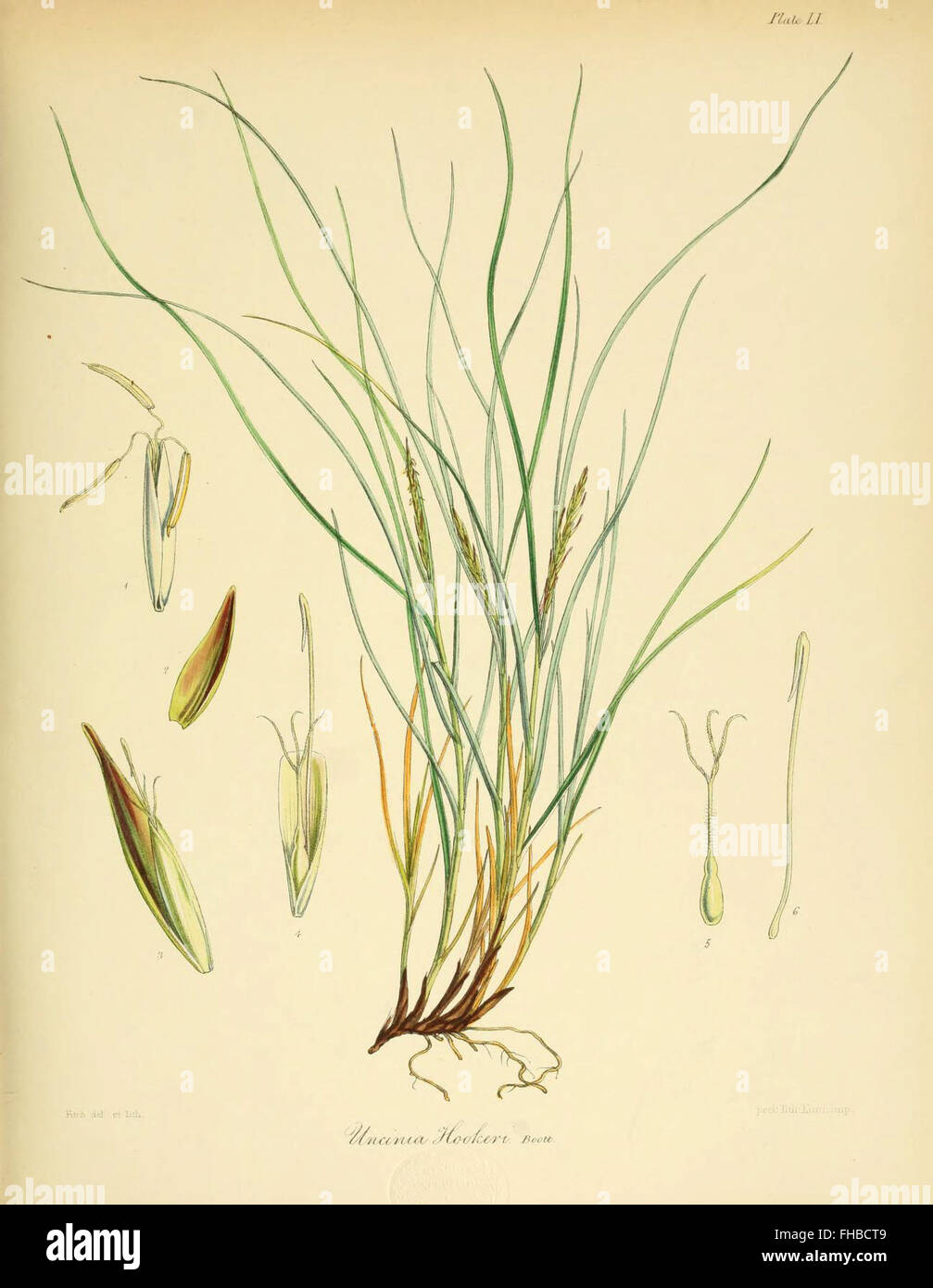 Botanany MBLWHOI Library Woods Hole Banque D'Images