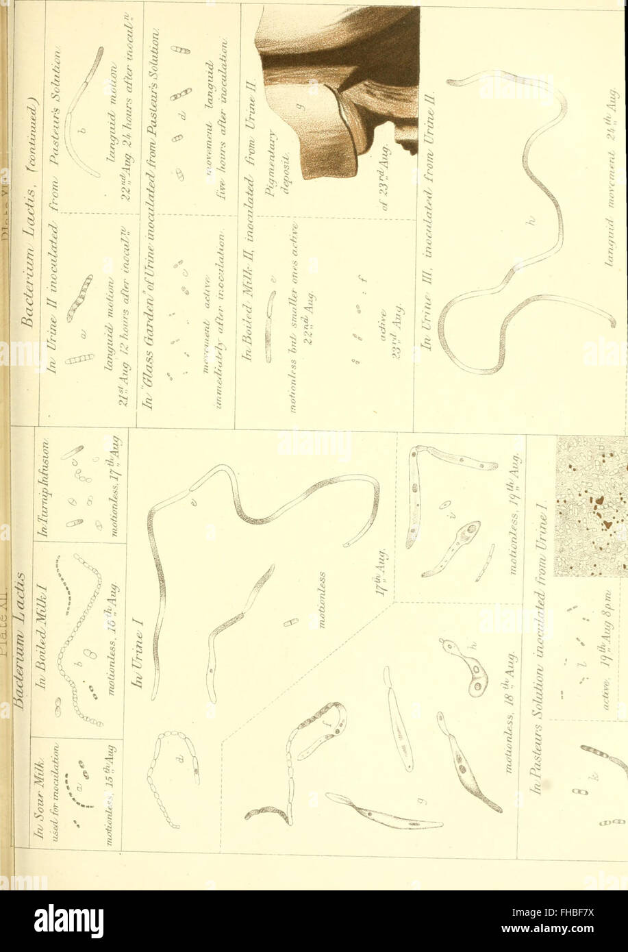 Les articles de Joseph baron Lister (1909) Banque D'Images