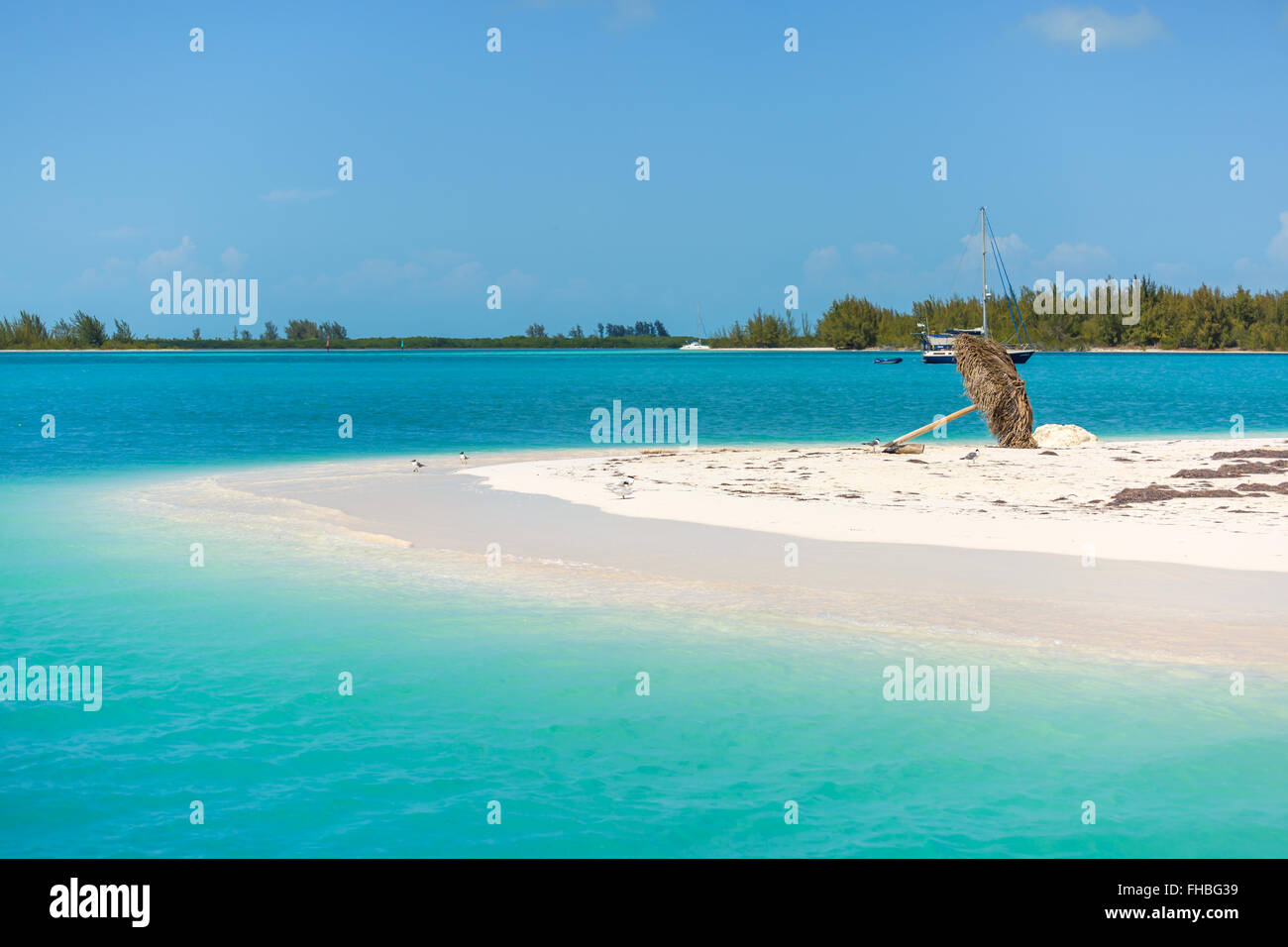 Plage tropicale dans l'île de Cayo Largo Banque D'Images