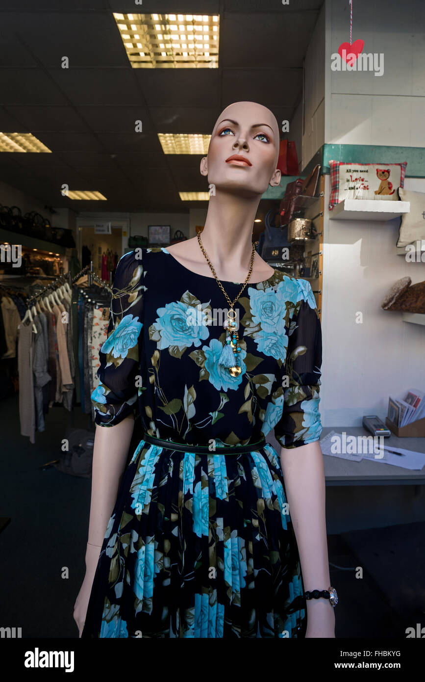 Une tête chauve female mannequin dans la fenêtre d'un magasin de charité d'Édimbourg. Banque D'Images