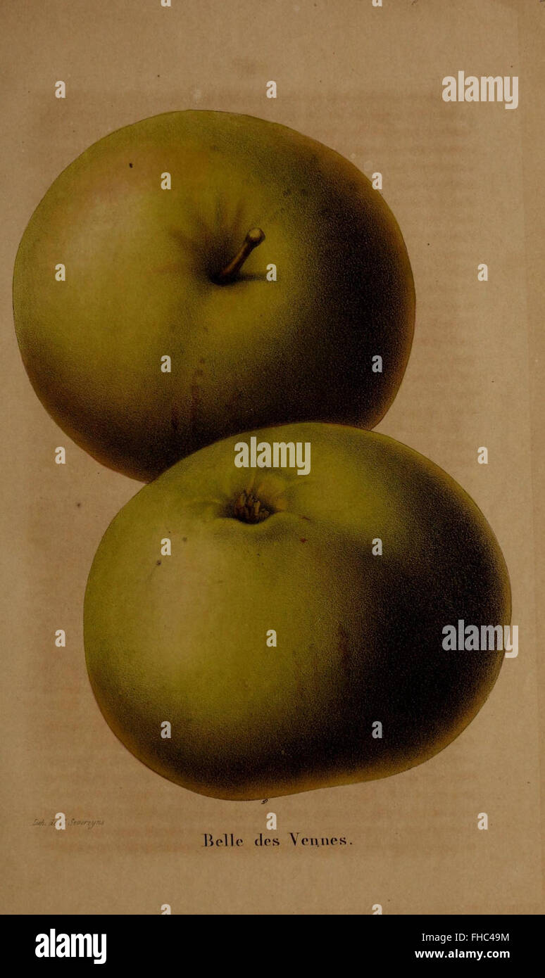 Magazine horticole belge consacré à l'étude des plantes, du jardinage et des pratiques horticoles, offrant un aperçu de la flore belge. Banque D'Images