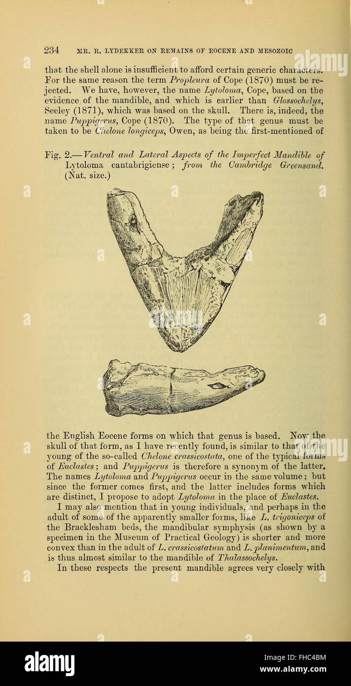 Un autre numéro de la Geological Society of London, couvrant la géologie, la géomorphologie et les études des systèmes naturels de la Terre. Banque D'Images