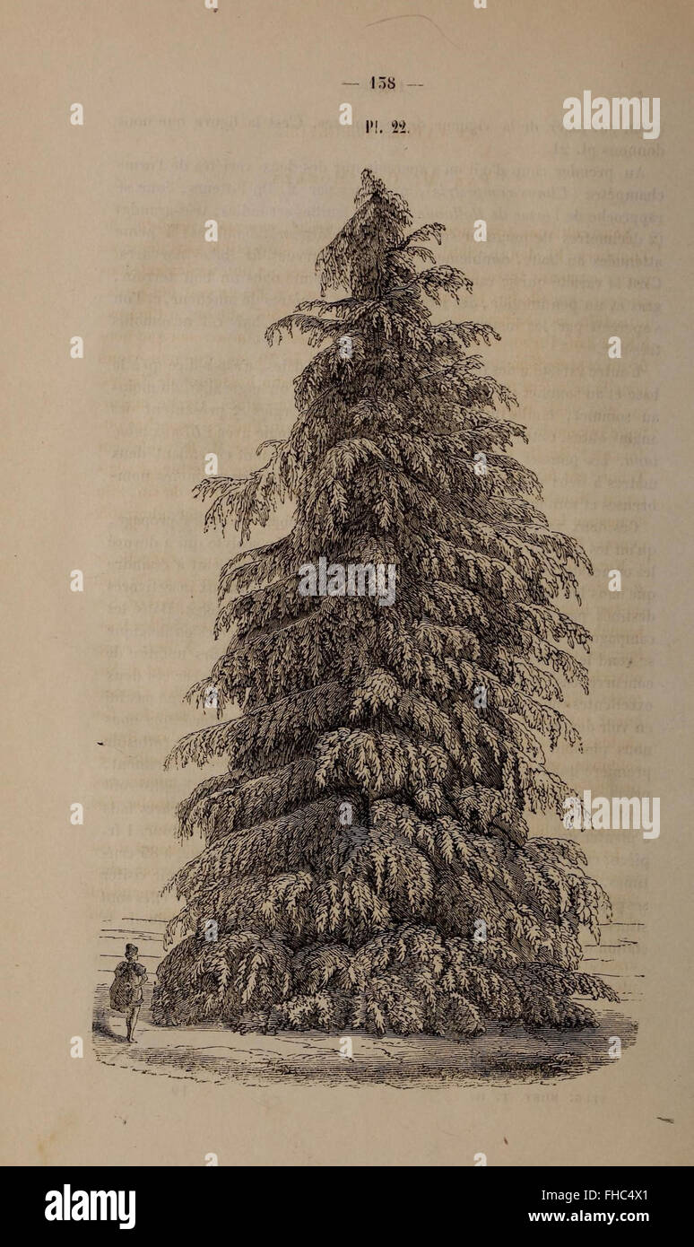 Un périodique horticole belge fournissant des informations sur le jardinage, la culture des plantes et les pratiques horticoles. Banque D'Images