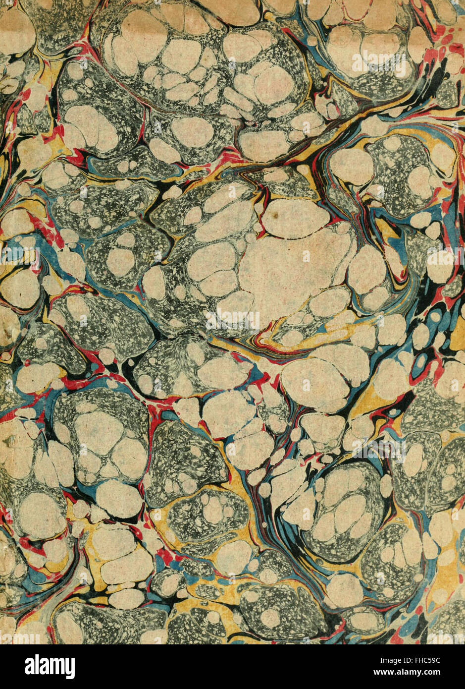 Une compilation des découvertes microscopiques révolutionnaires d'Antony van Leeuwenhoek, centrée sur le monde naturel et ses contributions à la microbiologie. Banque D'Images