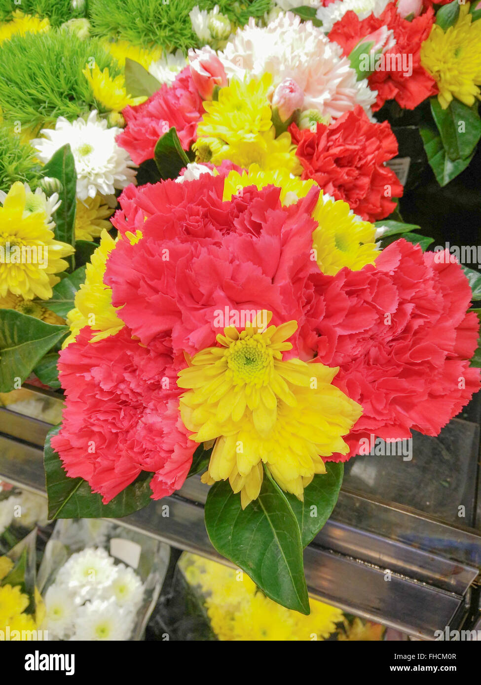 De belles fleurs de chrysanthèmes Banque D'Images