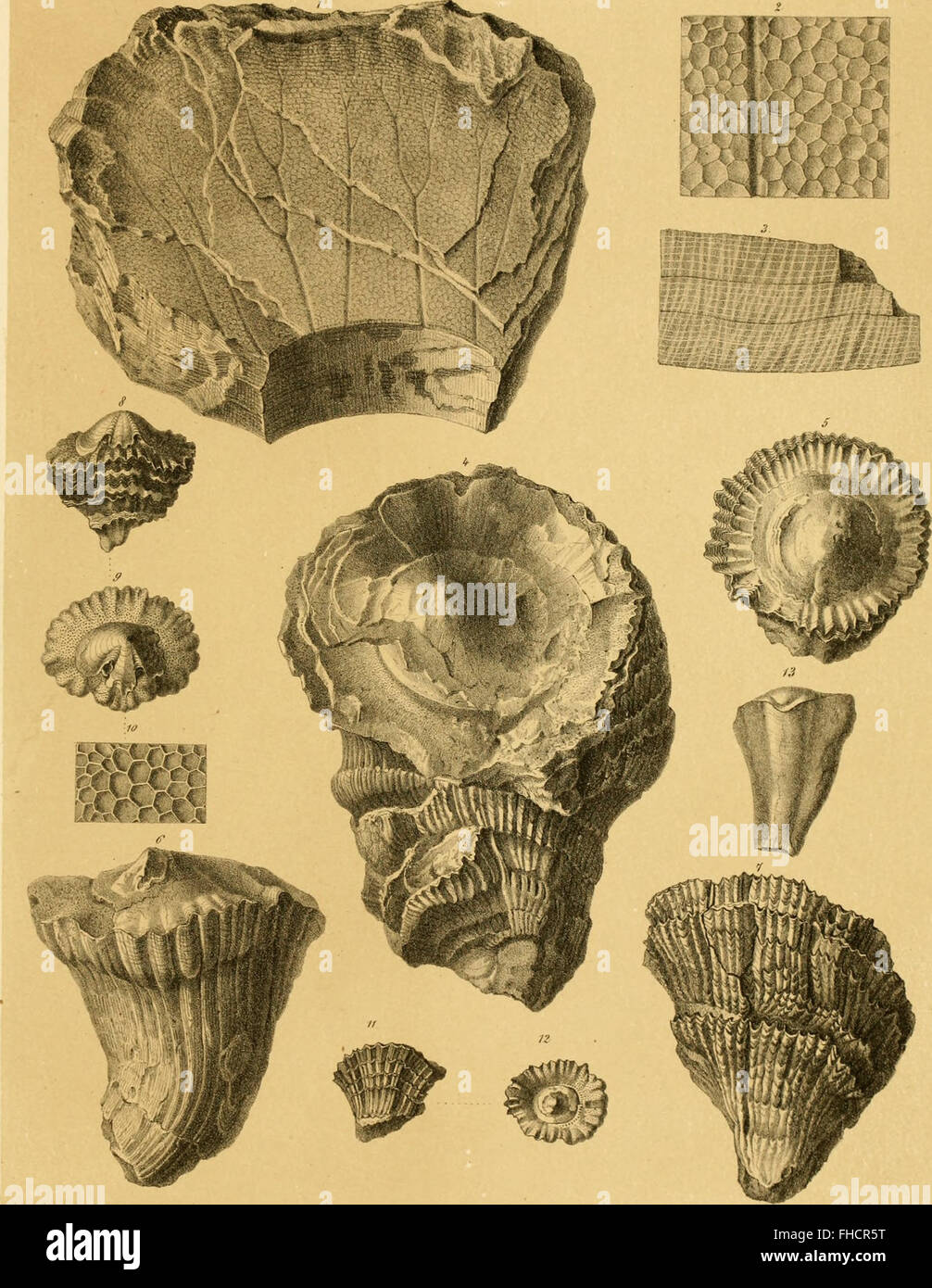 Les actes de 1866 de l'Académie impériale des sciences, documentant les recherches et découvertes mathématiques et naturelles de l'époque. Banque D'Images