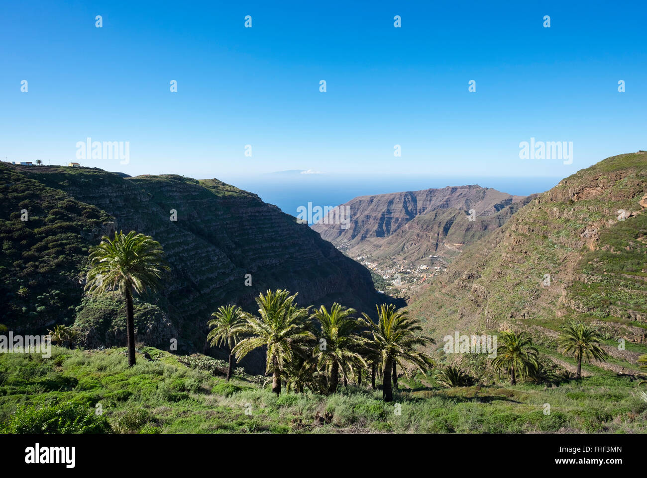 Valle Gran Rey avec palmiers, La Gomera, Canary Islands, Spain Banque D'Images