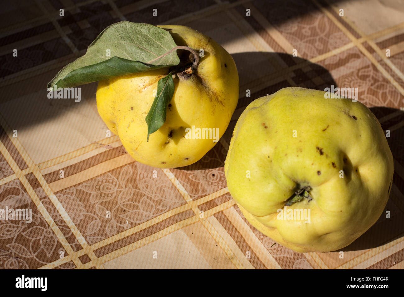 Deux fruits coing sur table Banque D'Images