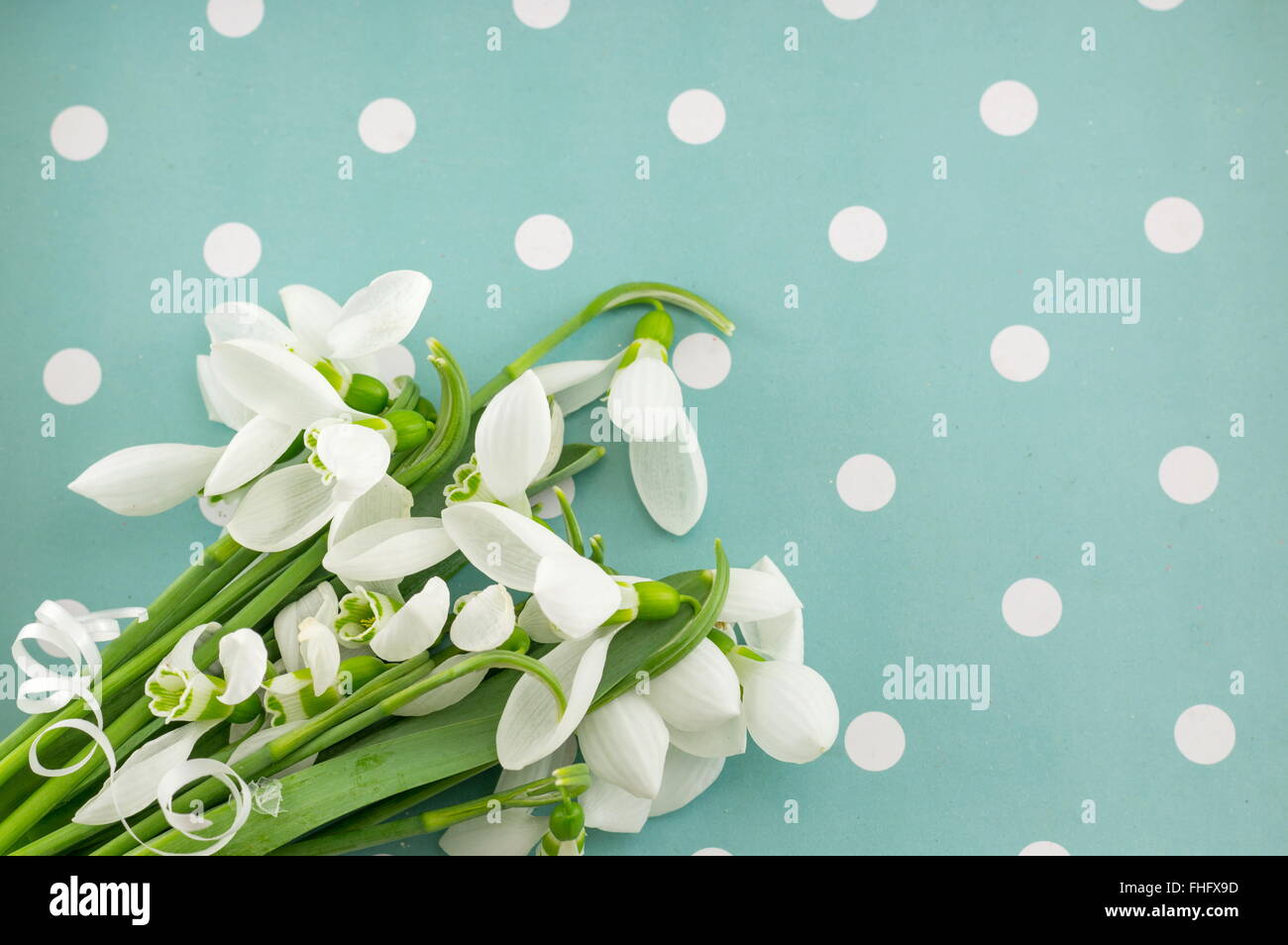 Perce-neige fraîche bouquet sur blue dotted background Banque D'Images