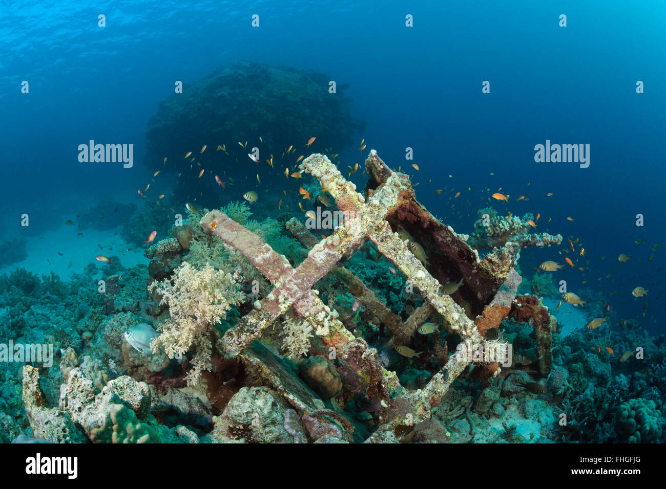 Vestiges d'habitat sous-marin Cousteaus Precontinent II, Shaab Rumi, Mer Rouge, au Soudan Banque D'Images