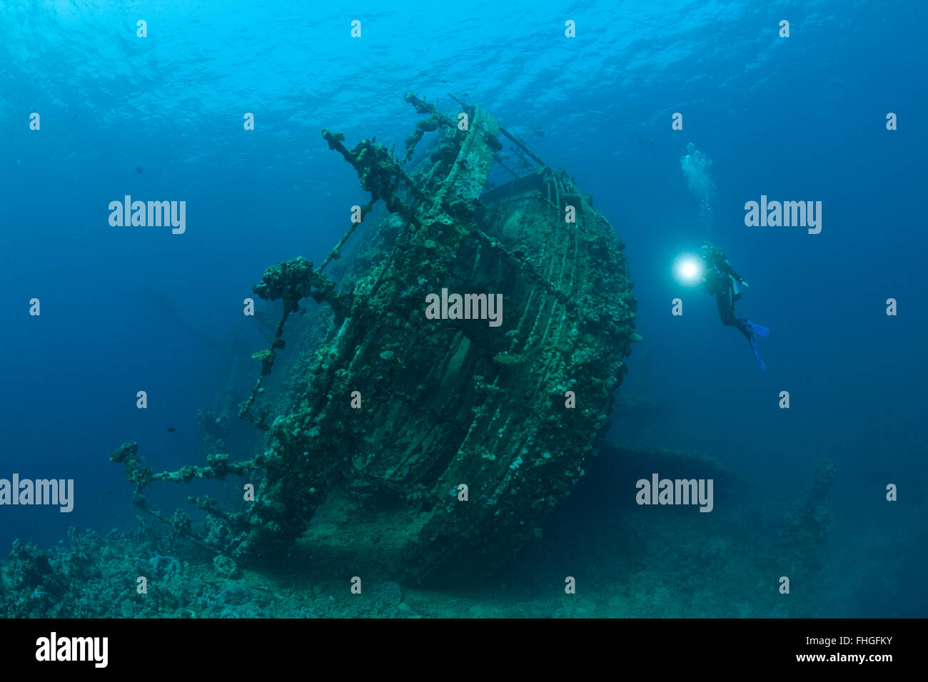 Scuba Diver à Umbria Wreck, Wingate Reef, Mer Rouge, au Soudan Banque D'Images