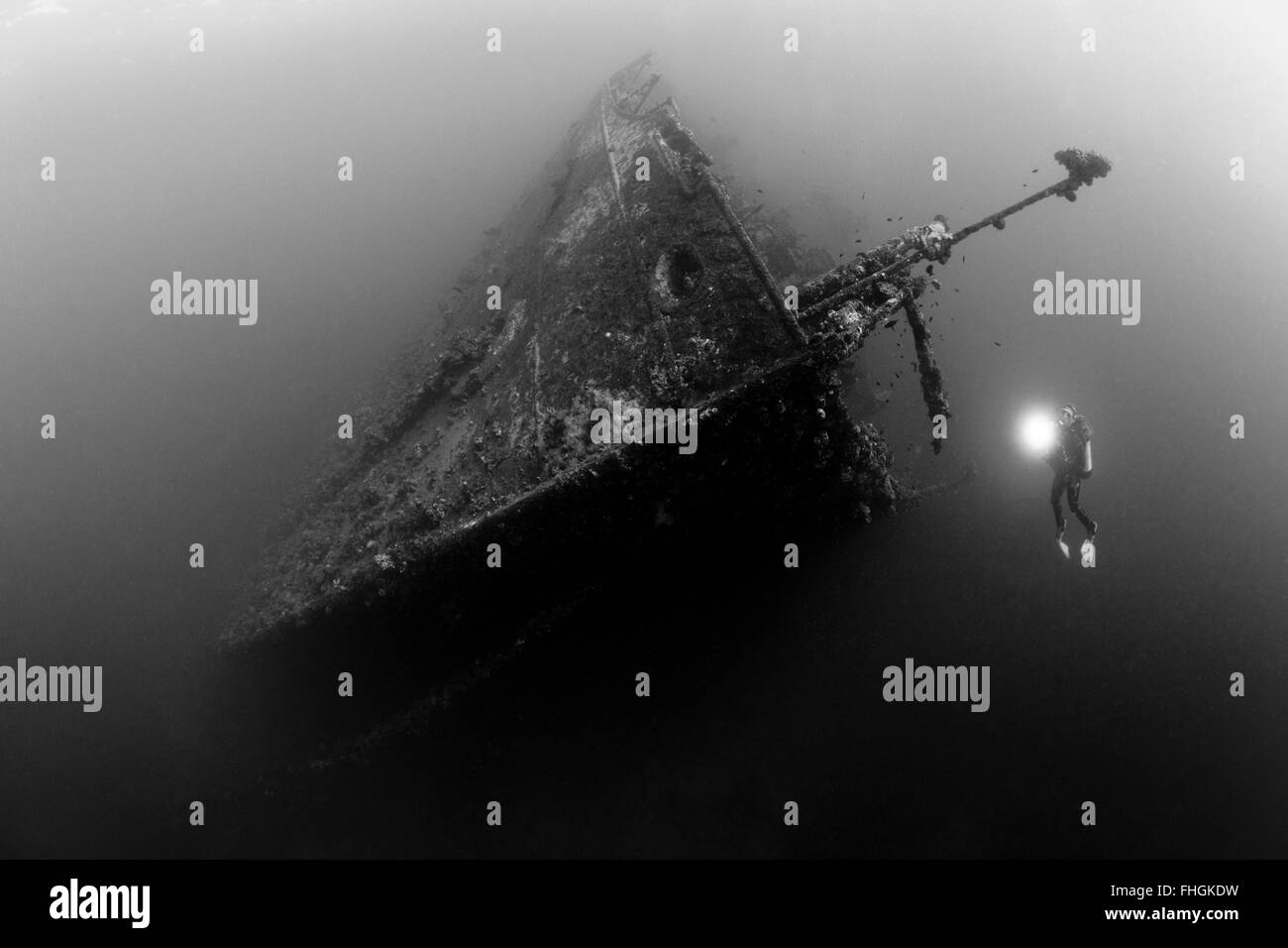 Scuba Diver à Umbria Wreck, Wingate Reef, Mer Rouge, au Soudan Banque D'Images