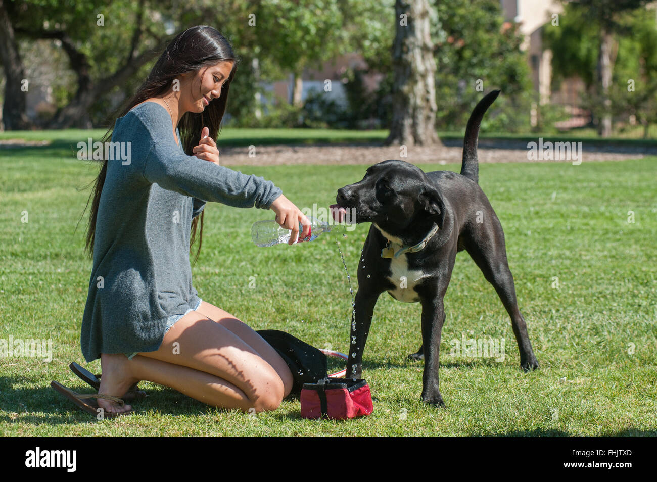 Fille de l'âge de l'adolescence s'occuper de son chien Photo Stock - Alamy