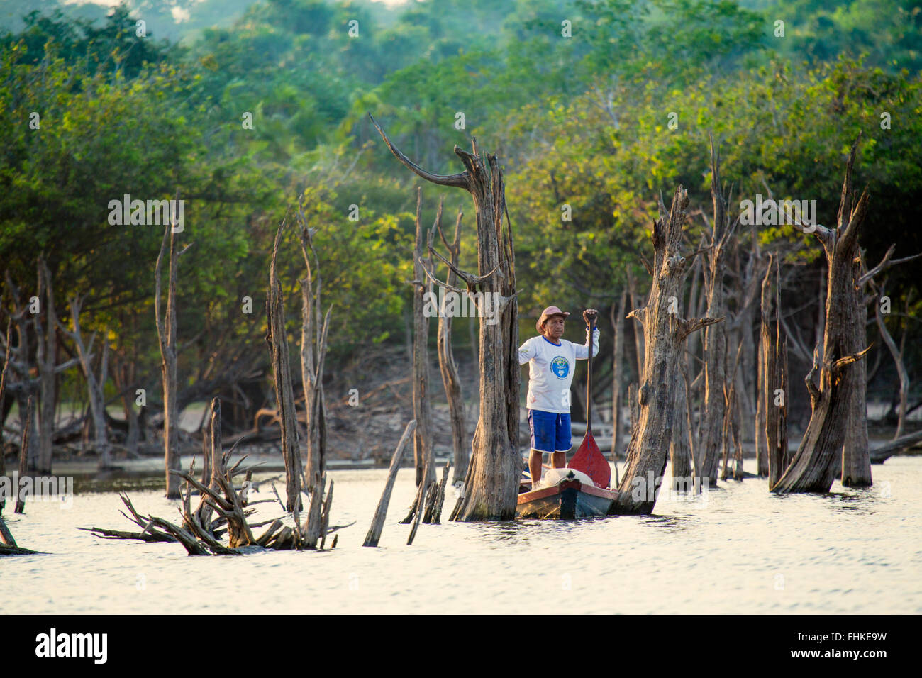 Pêcheurs de la forêt inondée (igapo/varzea) près de la Flona Tapajos, rivière, Amazonie brésilienne Banque D'Images