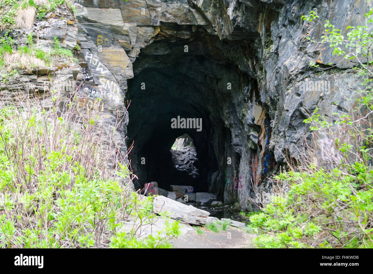 Ancien tunnel ferroviaire à Keystone Canyon, près de Valdez, Alaska, United States. Banque D'Images