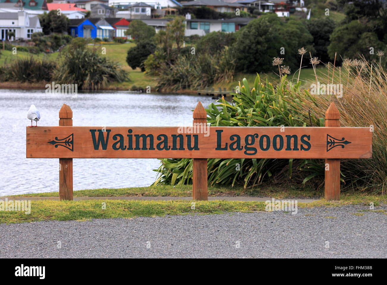 Inscrivez-vous à Waimanu lagunes, Waikanae, NZ. Banque D'Images