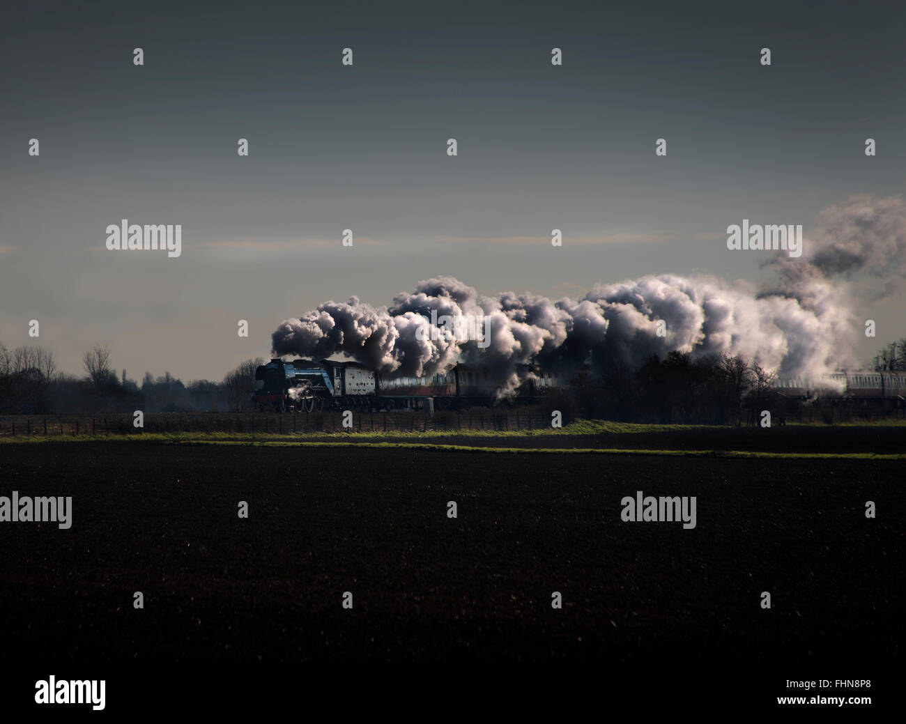 The Flying Scotsman locomotive à vapeur entre Peterborough et Tallington sur East Coast Main Line. D'abord exécuter après travaux Banque D'Images