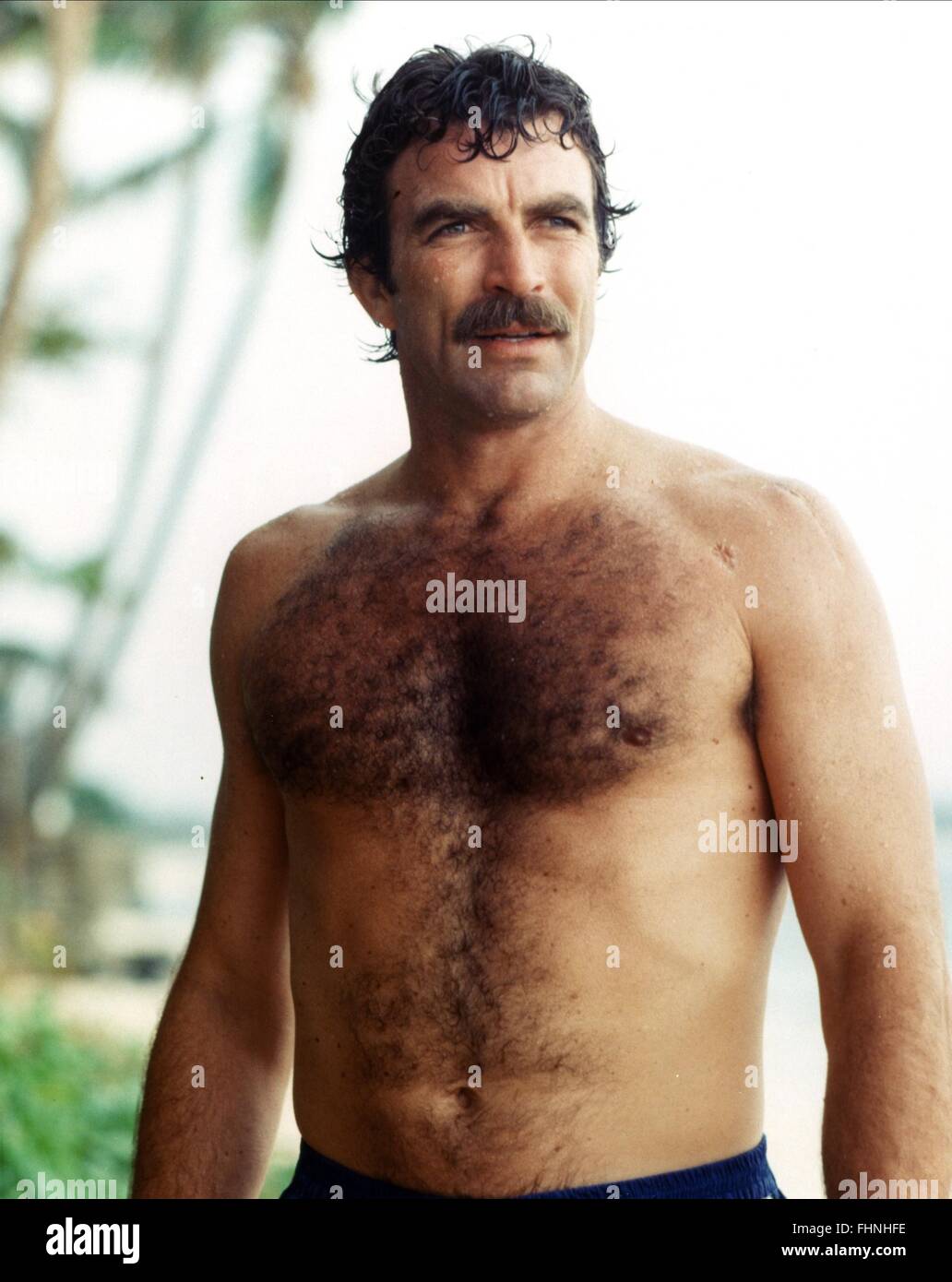 Tom Selleck Magnum P I 1980 Photos & Tom Selleck Magnum P I 1980 Images