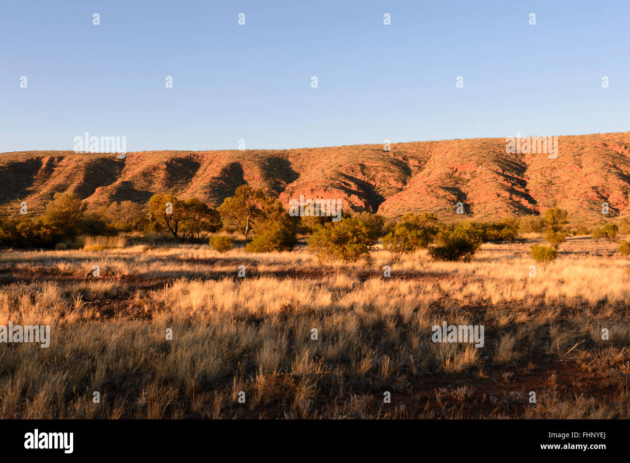 Vue de la West MacDonnell Ranges, Territoire du Nord, NT, Australie Banque D'Images