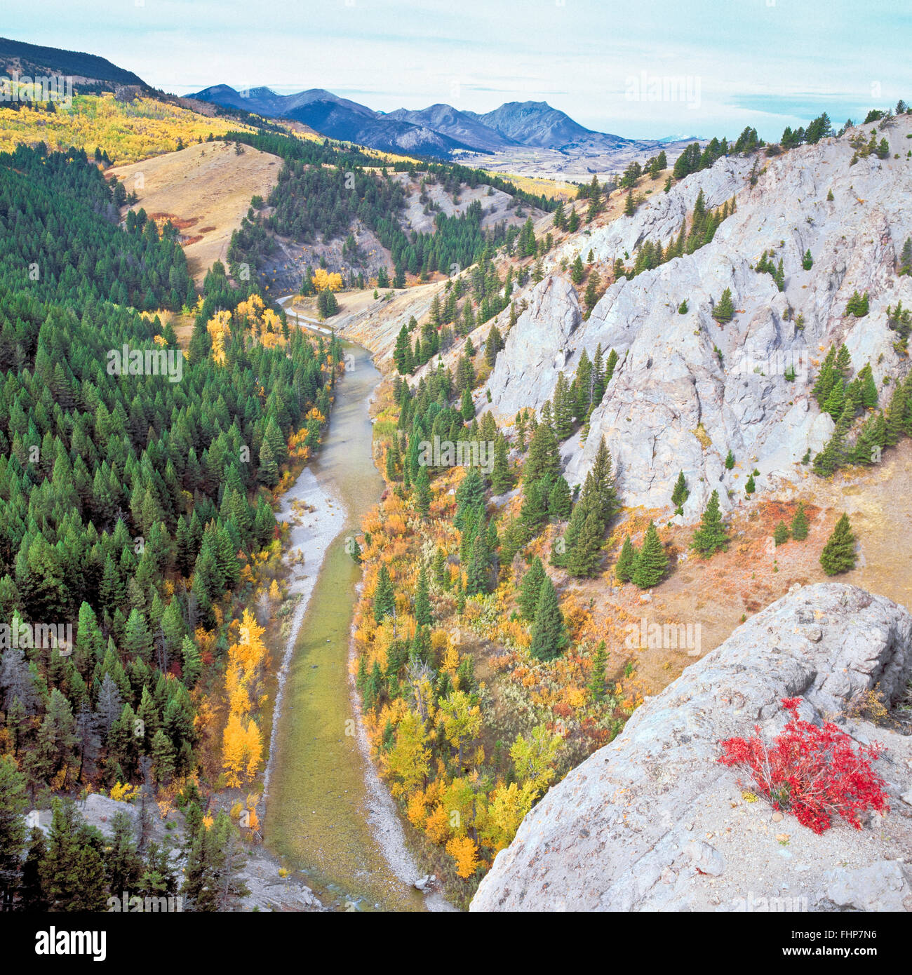 Les falaises et les couleurs d'automne le long de la vallée de la rivière de Dearborn au-dessous de la rocky mountain/près de augusta, Montana Banque D'Images