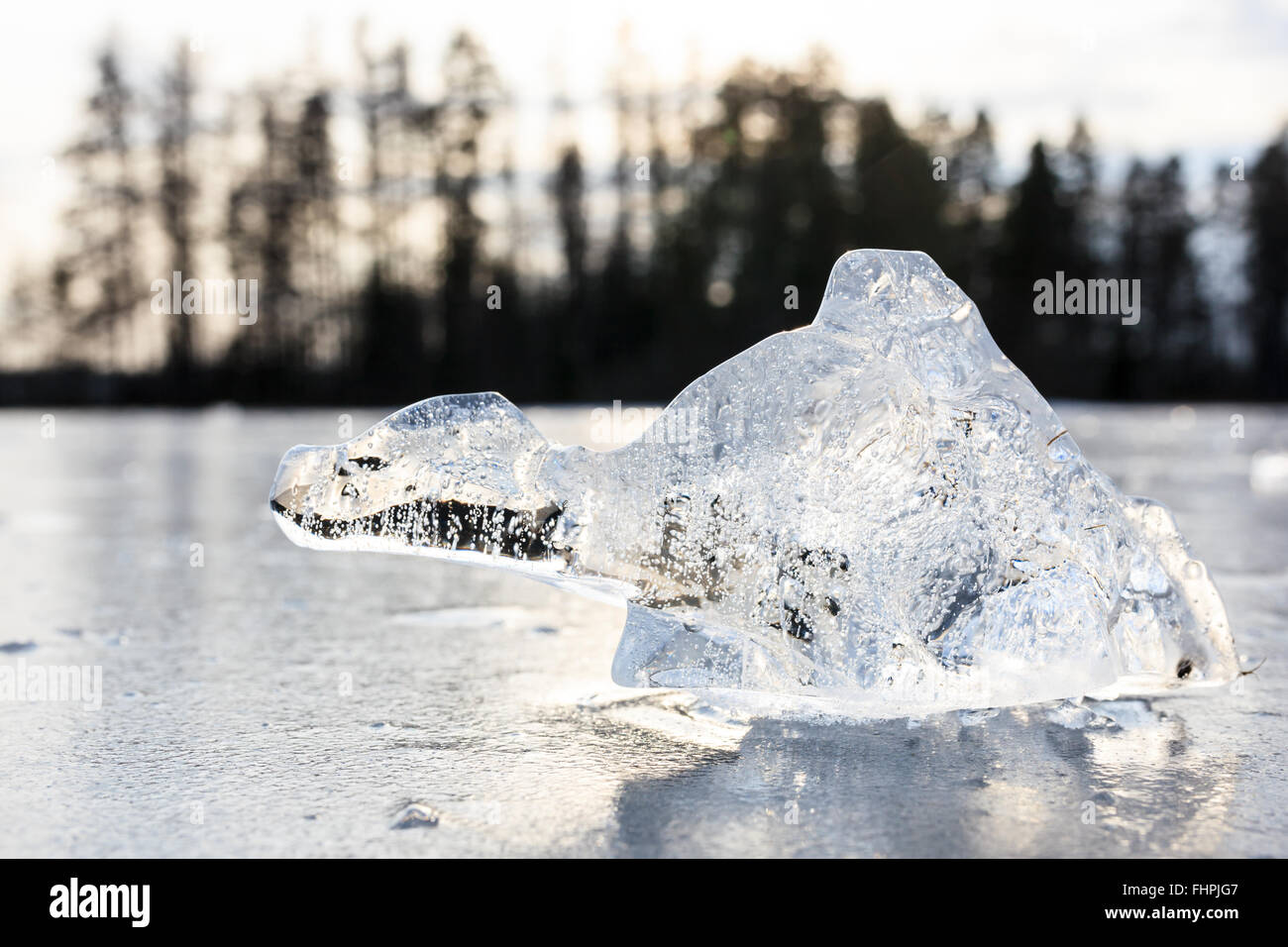 Bloc de glace ressemble à des animaux imagerie Banque D'Images