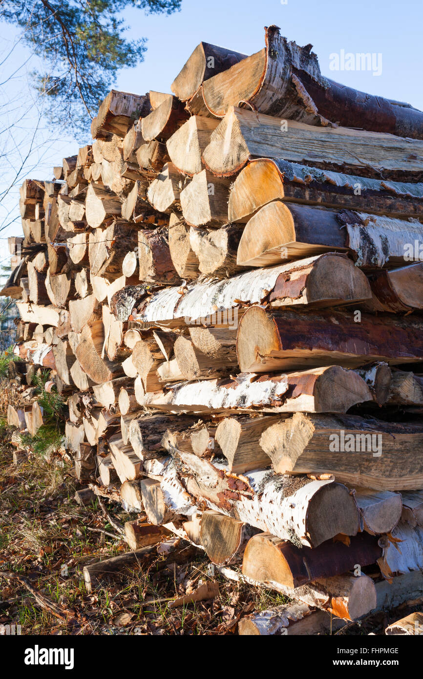 Tas de bois stockés à l'extérieur Banque D'Images