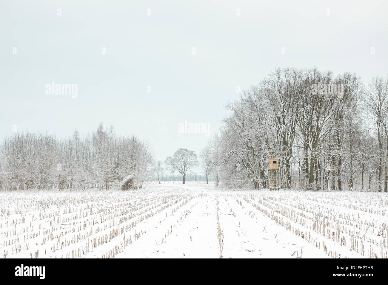 L'Allemagne, a cacher au bord d'un champ couvert de neige Banque D'Images