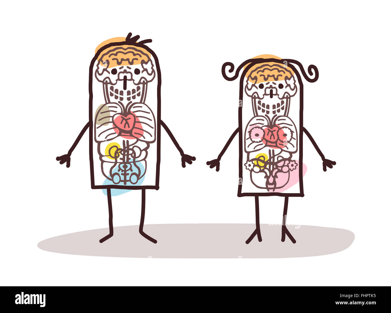 Vector cartoon couple anatomy Banque D'Images