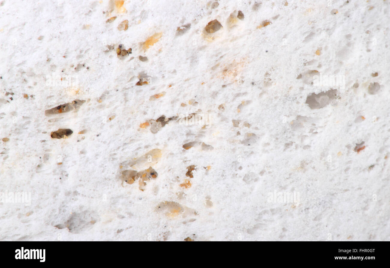 Vue rapprochée de pierre ponce montrant les trous d'air et la texture de la surface. Banque D'Images