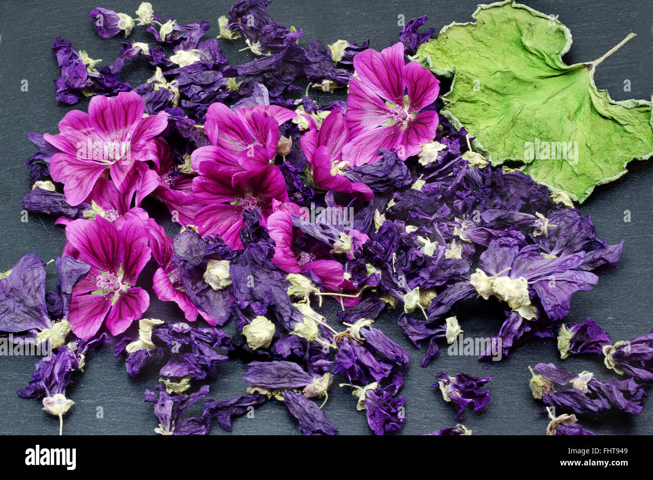 Fruits frais et secs (mauve fleur mauve silvestrys) Banque D'Images